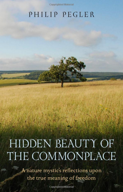 Hidden Beauty of the Commonplace  by Philip Pegler Book Cover Front